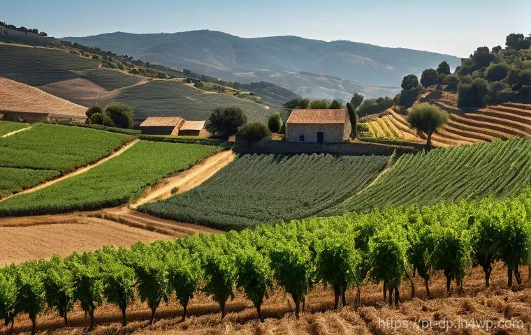 생태 지혜와 과학의 융합 - **Regenerative Agriculture in Valpa&ccedil;os, Portugal:** A serene, wide-angle shot of a picturesque regen...
